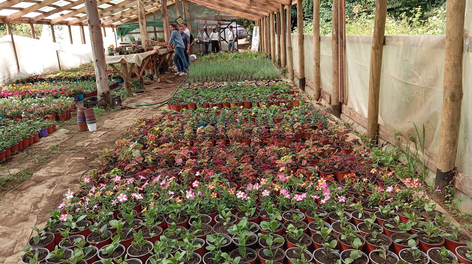 AgrocoopInnova3 1